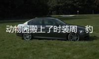 动物园搬上了时装周，豹纹设计最亮眼！